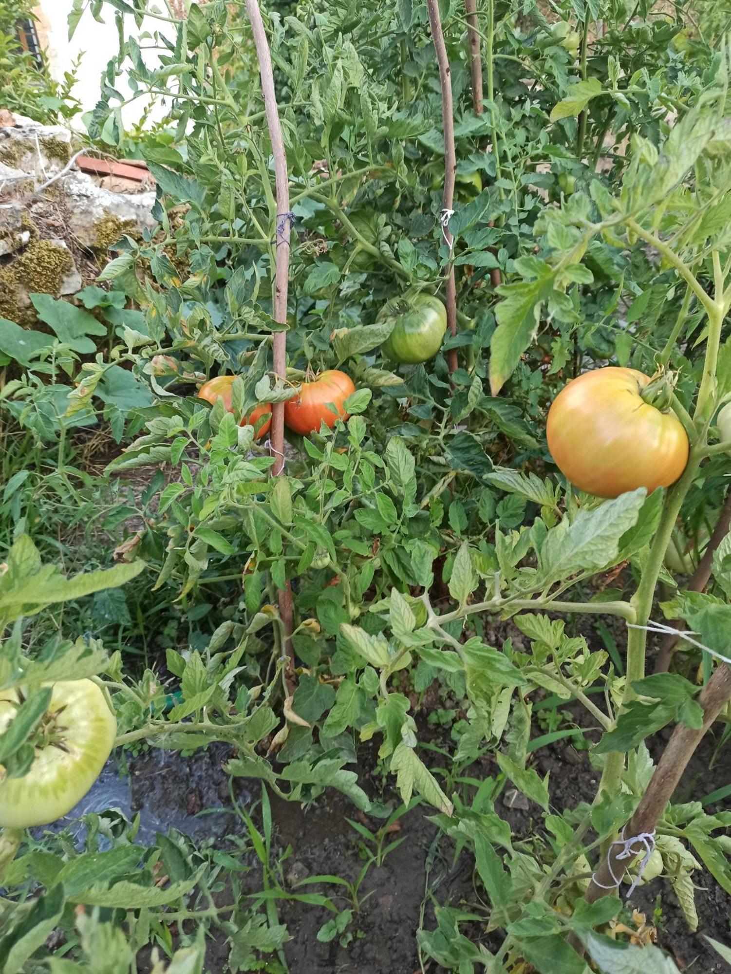Ariz  Casa Rural Ttipiaenea Landetxea מראה חיצוני תמונה